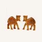 Camel Double Pices