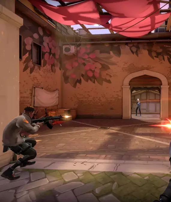 gun